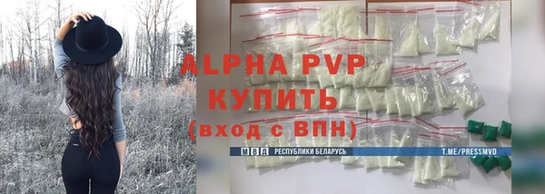 индика Володарск