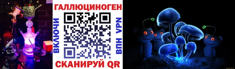 Галлюциногенные грибы Magic Shrooms  купить наркотики сайты  Качканар 