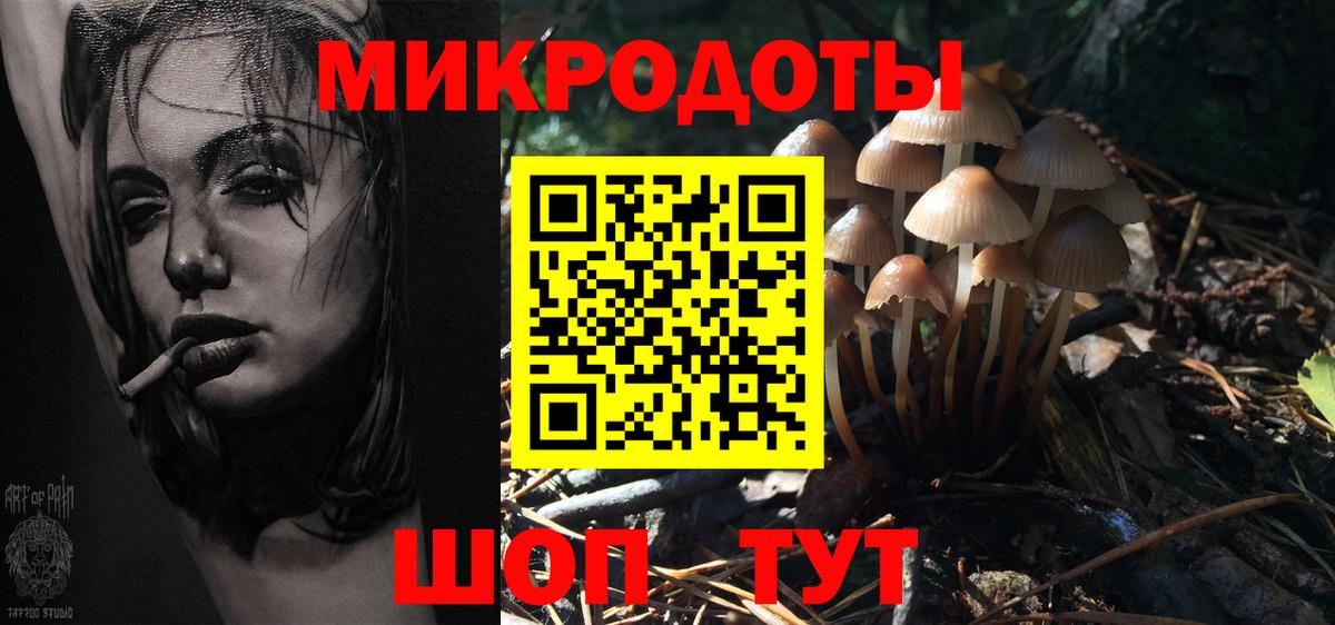 Галлюциногенные грибы прущие грибы  Псилоцибиновые грибы Psilocybe  купить  цена  Вход с VPN  Качканар 